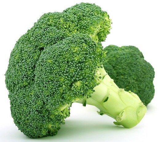 Image brocoli légume pour rester en forme producteurs locaux légumes