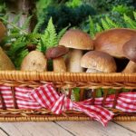 Panier de champignons de saison Producteurs locaux