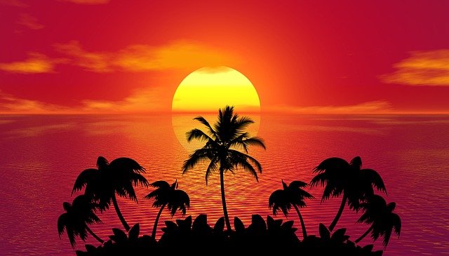 Coucher de soleil palmier