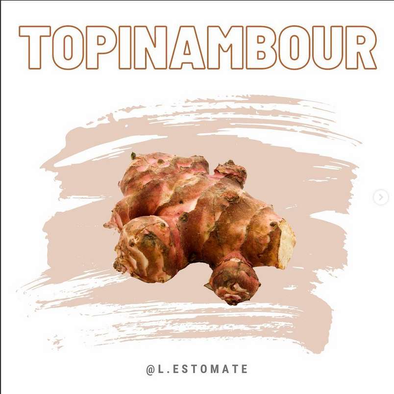 Le topinambour
